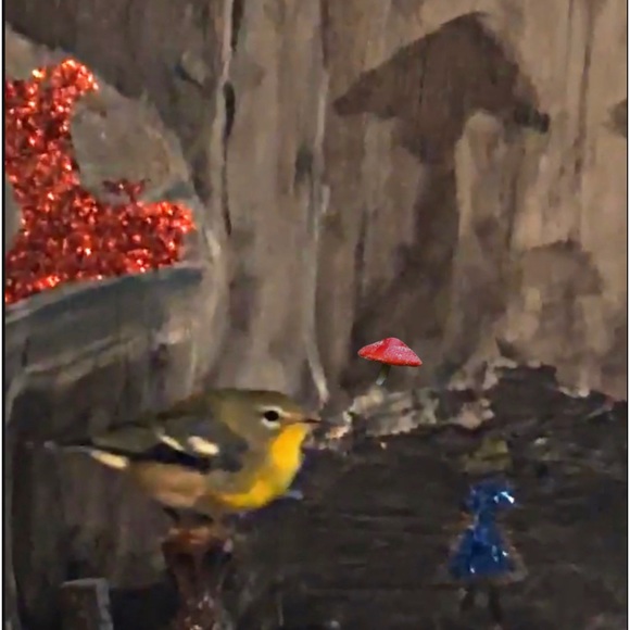 Posh - Picture 2 of 2